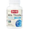 100 Count (Pack of 1)